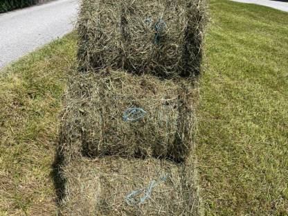 Bild 4:Kleinballenpresse Marangon Mini 800