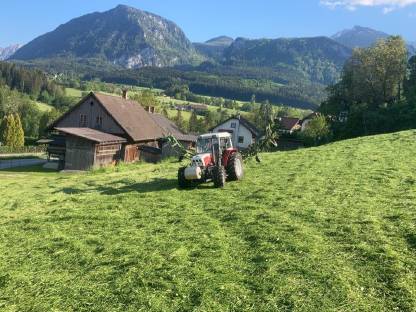 Bild 9:Steyr 970/964