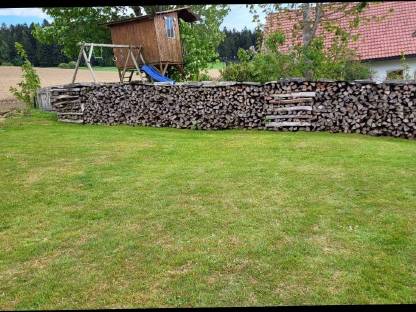 Brennholz