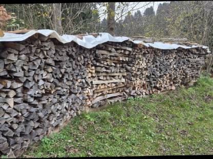 Bild 2:Brennholz