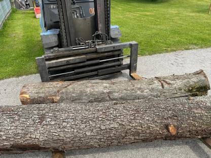 Holz Apfel und Birne