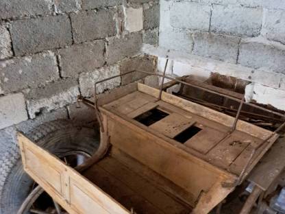 Bild 5:Pferdekutsche