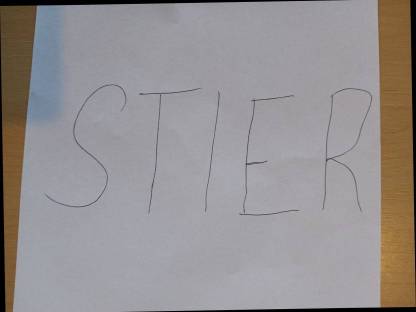 Verkaufe Stier