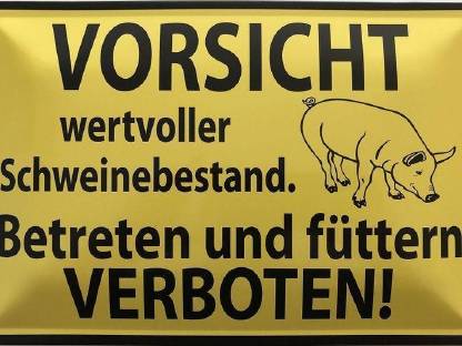 Blechschild 30 x 40 cm Vorsicht wertvoller Schweinebestand