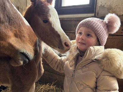 Bild 4:Reitpony Stutfohlen Vayana's Limoncella SP