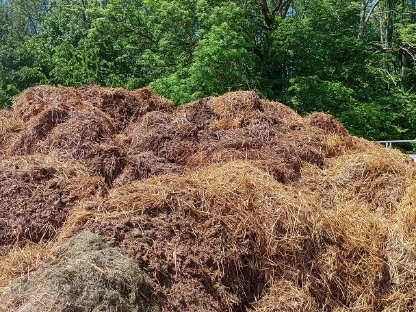 Wirtschaftsdünger/Pferdemist mit ausschließlich Stroh