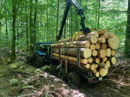 Bild 4:Forstwirtschaftliche Dienstleistungen