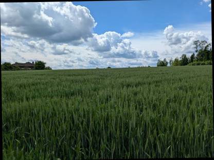 Stroh