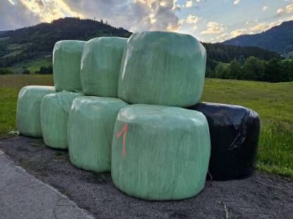 Bio-Siloballen