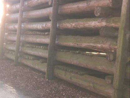 Bild 3:Rundholz endrindet bis 14 m