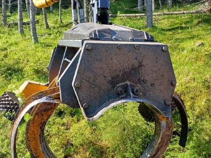 Bild 3:Koller P60 Notverkauf