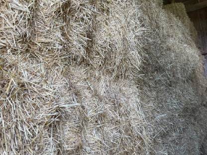 Bild 4:Heu 1. Schnitt, Altheu, Quaderballen