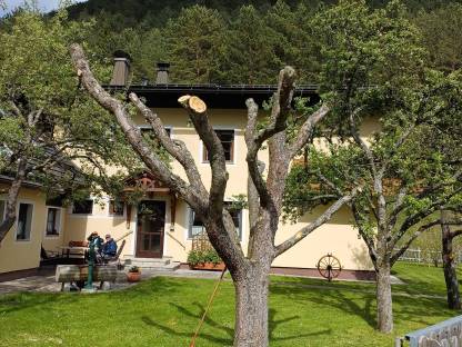 Apfelbaum