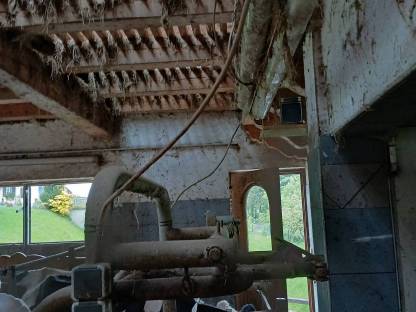 Bild 5:Klauenpflegestand