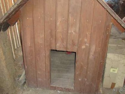 Hundehütte