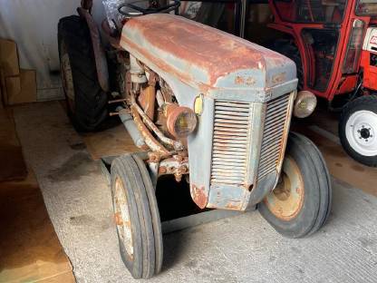 Massey Harris Ferguson TEK 20 Schmalspur Benziner