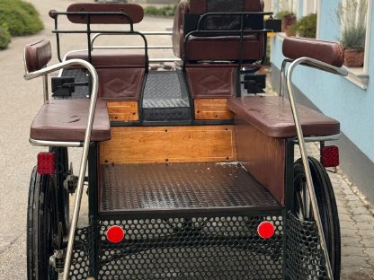 Bild 3:Trainingswagen/Wagonette Kutsche