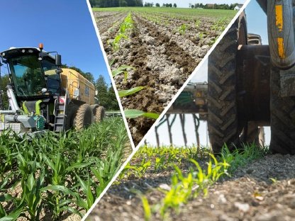 Bild 2:Bodennahe Gülleausbringung