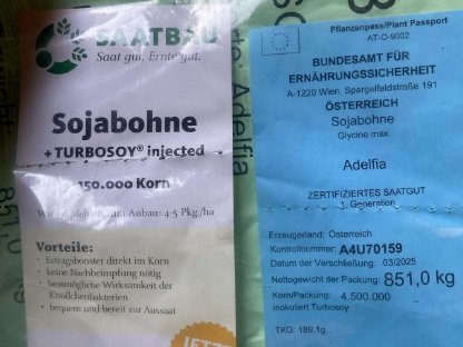 Originalsaatgut Sojabohnen