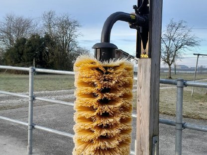 Schwingbürste Maxi Patura