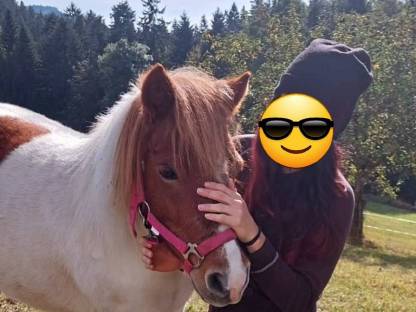 Ponys