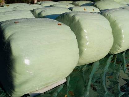 Silageballen