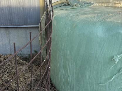 Bild 8:Siloballen