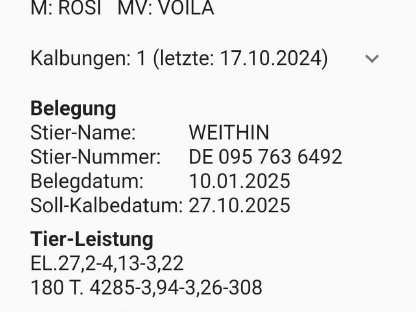 FV-Erstlingskuh