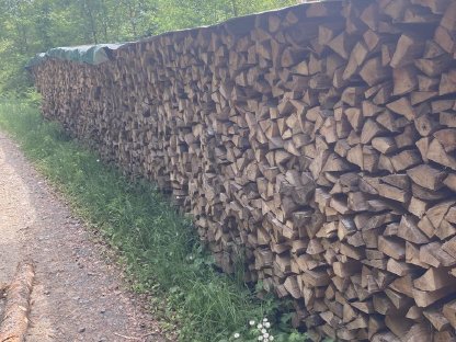 Brennholz Buche