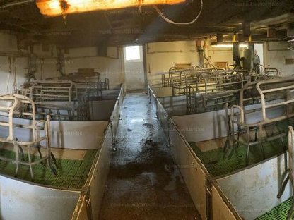 Bild 3:Schweinezuchtanlage und Schlachthof - 29,25 ha - Grenznähe