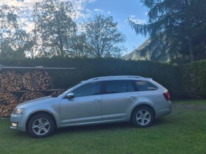 Bild 2:Skoda Octavia 4x4