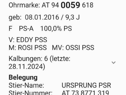 Bild 5:Pustertaler Sprinzenkuh