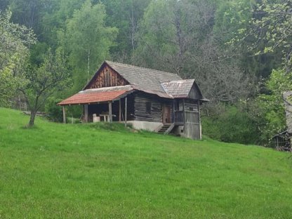 Hütte zu vermieten, Weideflächen zu verpachten auch möglich