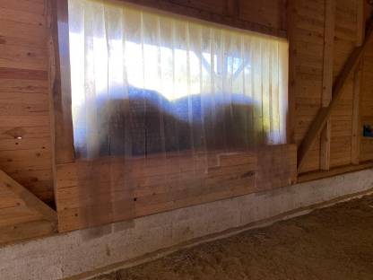 Bild 7:Fohlen-Aufzucht-Platz für 2 Hengste ab sofort