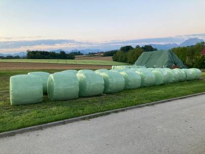 Siloballen Ernte 2025