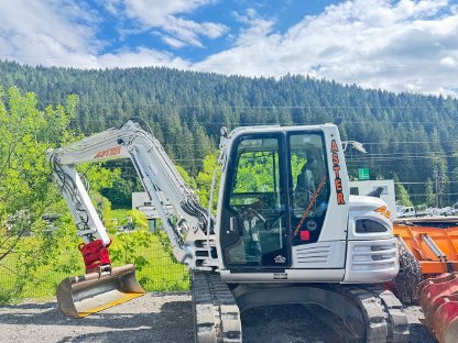 Bagger Takeuchi TB 290