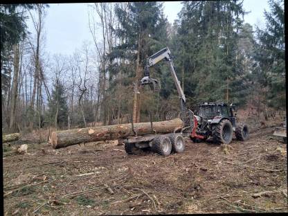 Bild 4:Forstkran Kesla 305T, kein Rückewagen