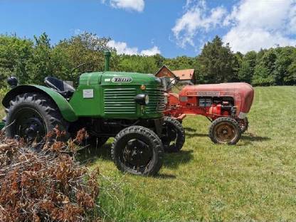 Bild 2:Steyr T180