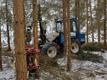 Bild 5:Durchforstungsarbeiten mit Vimek 404T und Alstor 822