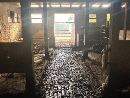 Bild 4:Landwirtschaft in 8184 Anger bei Weiz