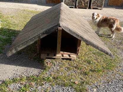 Hundehütte