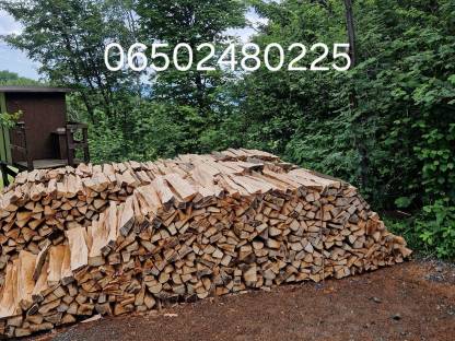 Buchenbrennholz
