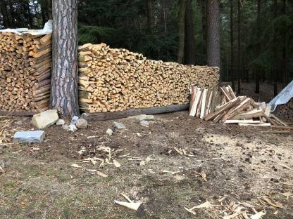Brennholz trocken