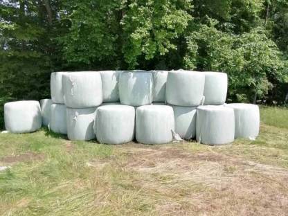 Verkaufe Siloballen neue Ernte