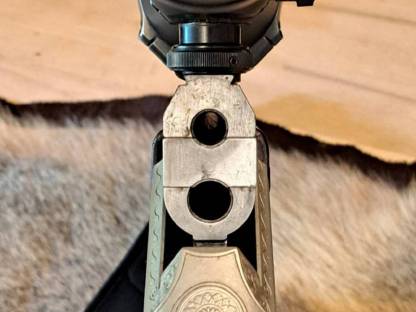 Bild 4:Blaser BS