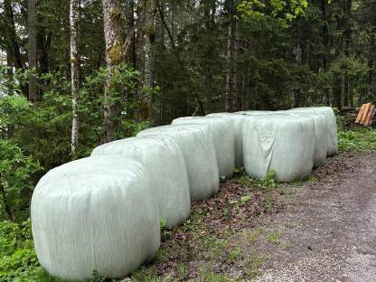 Siloballen 2.ter Schnitt