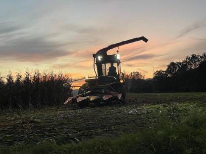 Bild 2:Maishäcksler