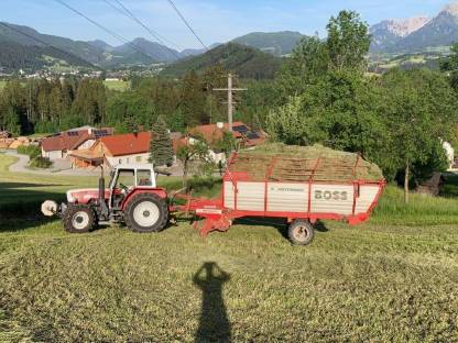 Bild 8:Steyr 970/964