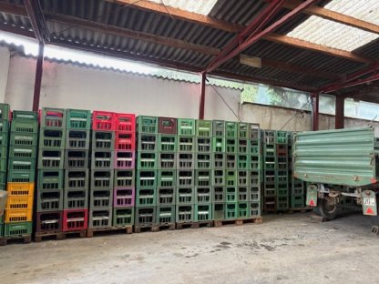 Weinkisten für 2-l-Flaschen zu verschenken