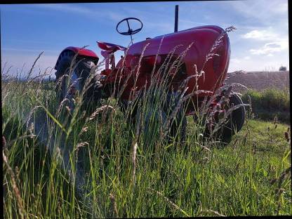 Bild 3:Porsche Traktor